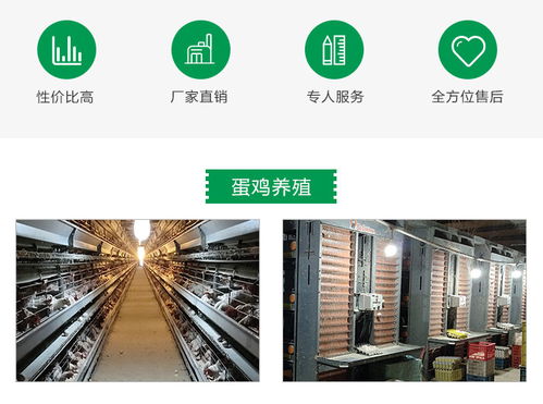 京山德風(fēng)牧業(yè)科技 專業(yè)雛雞養(yǎng)殖與全方位技術(shù)咨詢